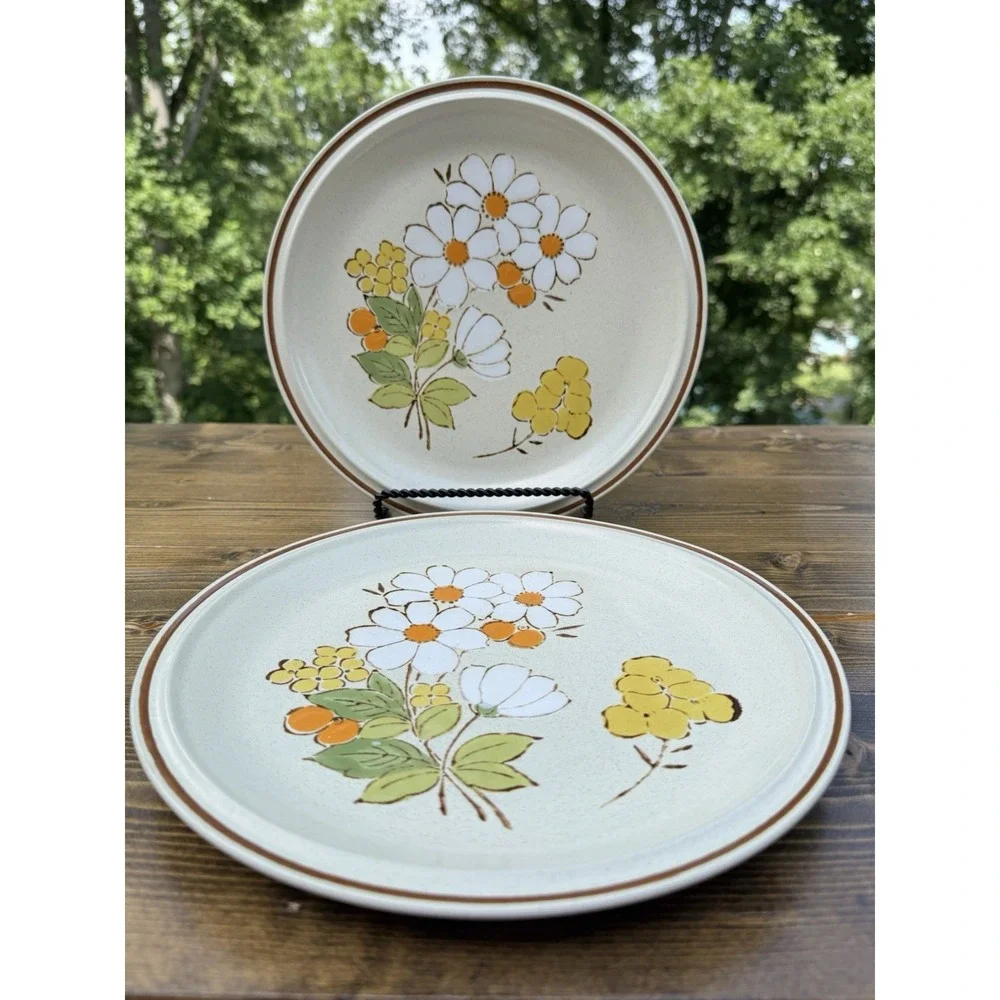 Floral Expressions Summertime Dinner Plates Set of 2 Japan Heartside Stoneware 1